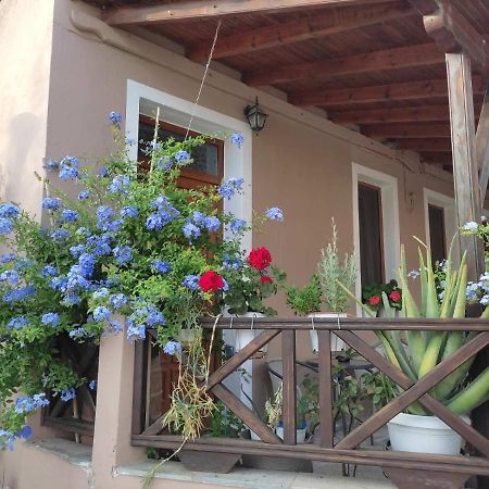 Plumbago Apartment Θεολόγος Εξωτερικό φωτογραφία